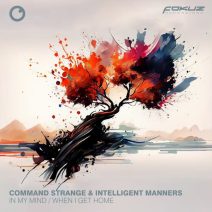 Intelligent Manners, Command Strange - In My Mind When I Get Home [Fokuz Recordings]