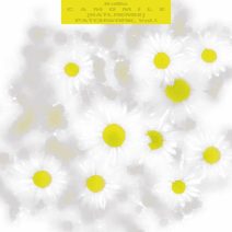 Kalila - Camomile (Satl Remix) [The North Quarter]